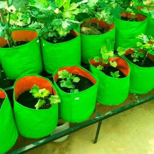 GroWonder Grow Bags for Terrace Garden & Home Gardening | 230 GSM HDPE Woven Fabric Planters | Sizes: 9x9, 12x12, 18x18 inches | Pack Options: 1, 2, 3, 4