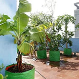 GroWonder Plant Bags for Home Garden, 18x18 inches, 230 GSM Strong, Terrace Gardening Vegetable Planting Pots, Woven Fabric Leafy Fruits Growing Containers , Pack of 1