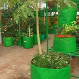 GroWonder Plant Bags for Home Garden, 18x18 inches, 230 GSM Strong, Terrace Gardening Vegetable Planting Pots, Woven Fabric Leafy Fruits Growing Containers , Pack of 1