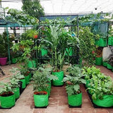 GroWonder Planters, 9X9 inches, Grow Bags for Terrace Garden Vegetable Planting Pots, Woven Fabric Leafy Fruits Growing gamlas - Pack of 1