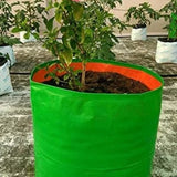 GroWonder Planters, 9X9 inches, Grow Bags for Terrace Garden Vegetable Planting Pots, Woven Fabric Leafy Fruits Growing gamlas - Pack of 1